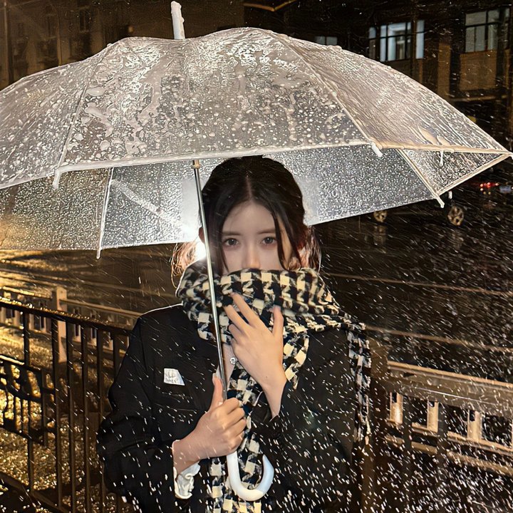 会长是女仆 特别篇