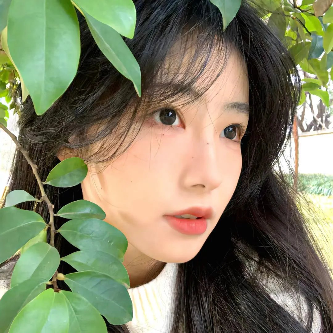 冰上火