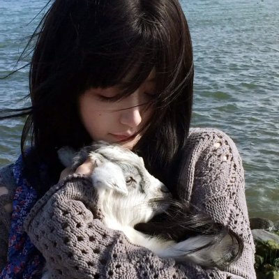 神驹黑美人